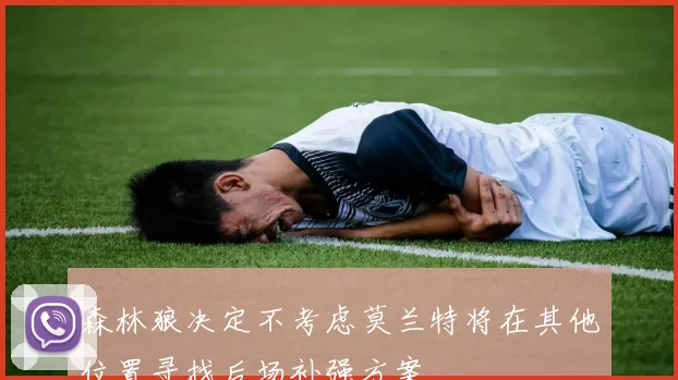 森林狼决定不考虑莫兰特将在其他位置寻找后场补强方案