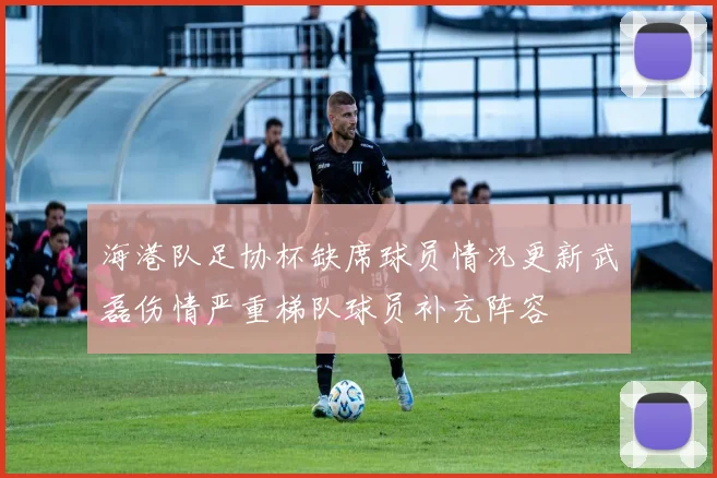 海港队足协杯缺席球员情况更新武磊伤情严重梯队球员补充阵容