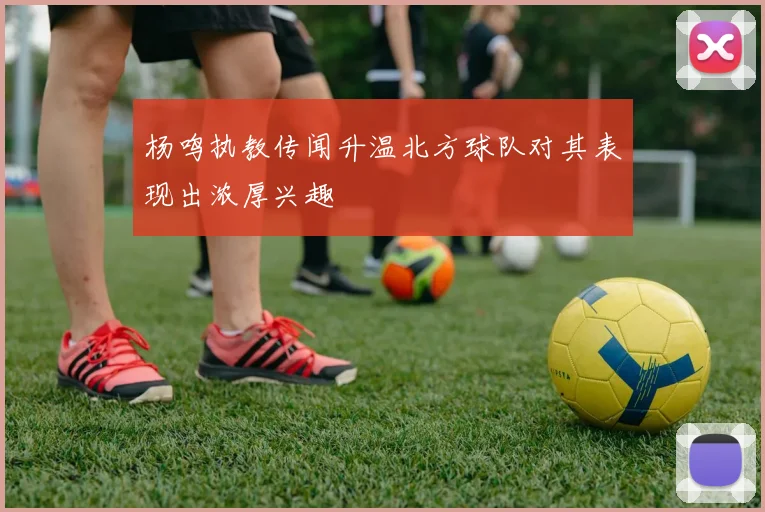 杨鸣执教传闻升温北方球队对其表现出浓厚兴趣
